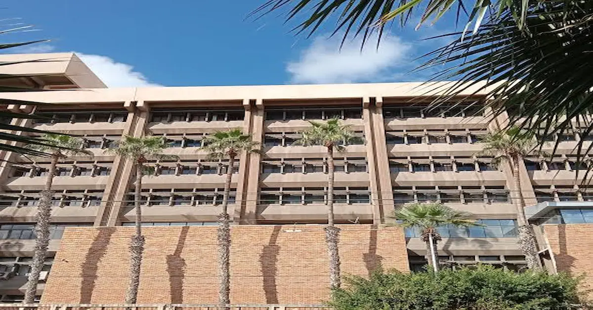 كلية التربية جامعة الإسكندرية