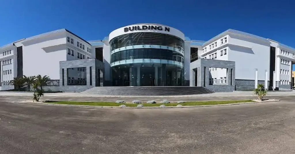 جامعة سيناء