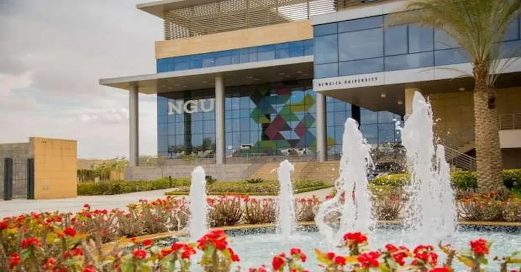 جامعة الجيزة الجديدة